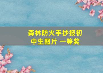 森林防火手抄报初中生图片 一等奖